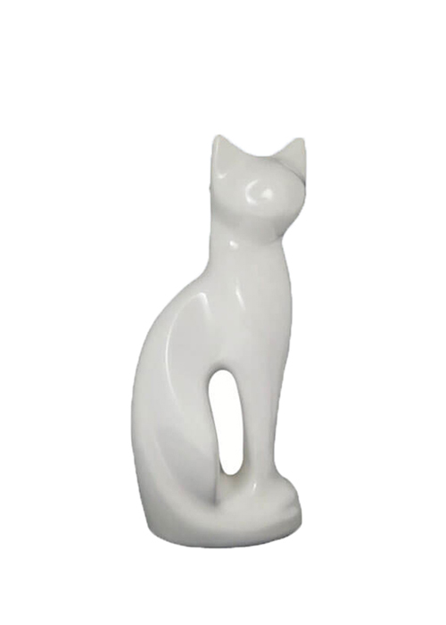 Gatto bianco