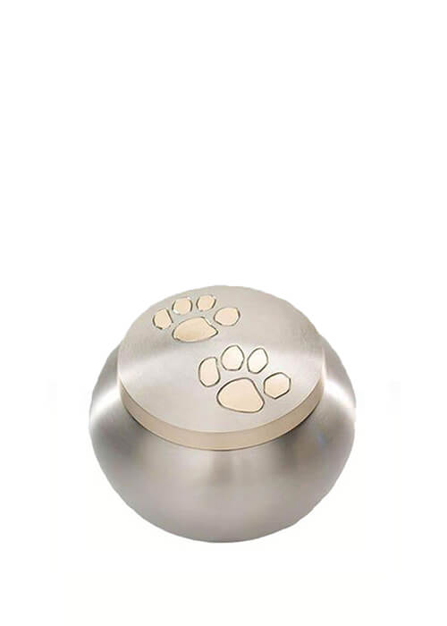 Scrigno-paw