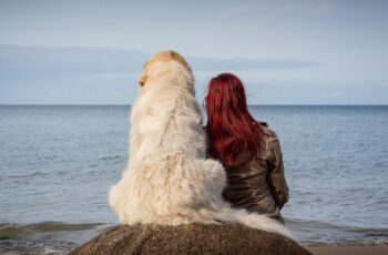 Cane e padrona di fronte al mare
