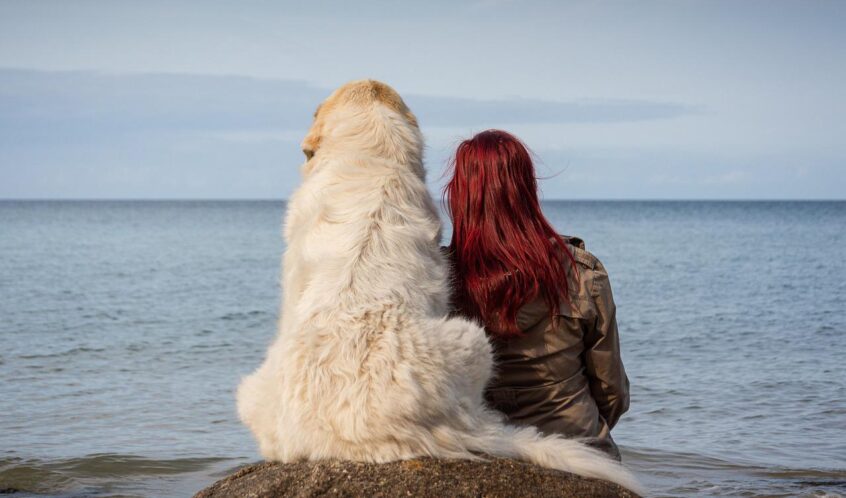 Cane e padrona di fronte al mare