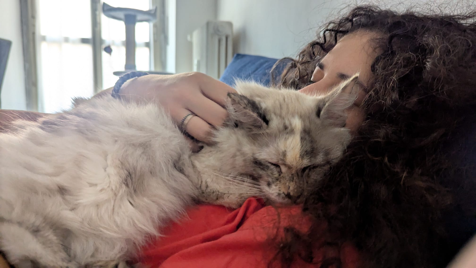 Sono creature generose, gli animali, e sanno renderci più felici